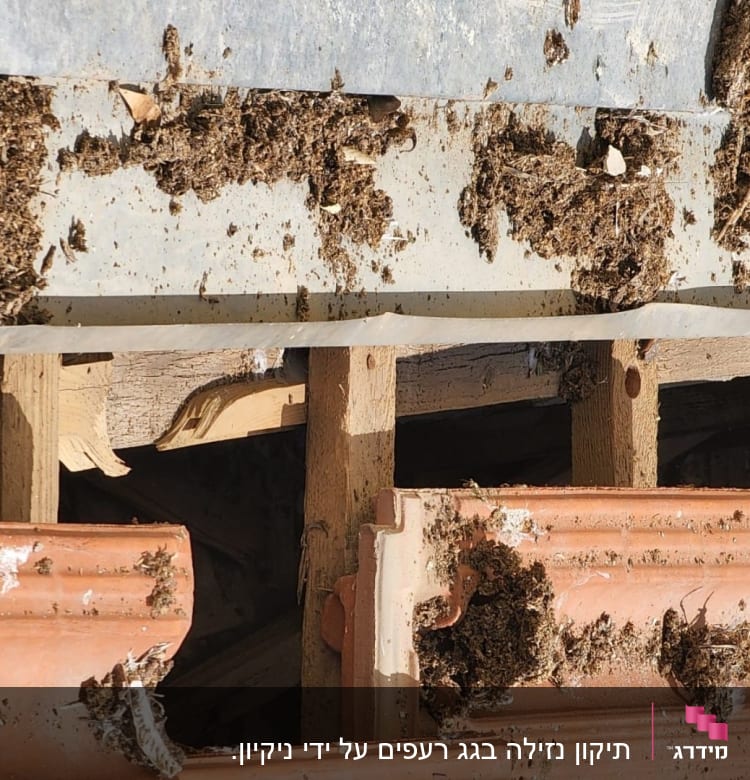 רעפים שבורים עם לכלוך על גג עץ